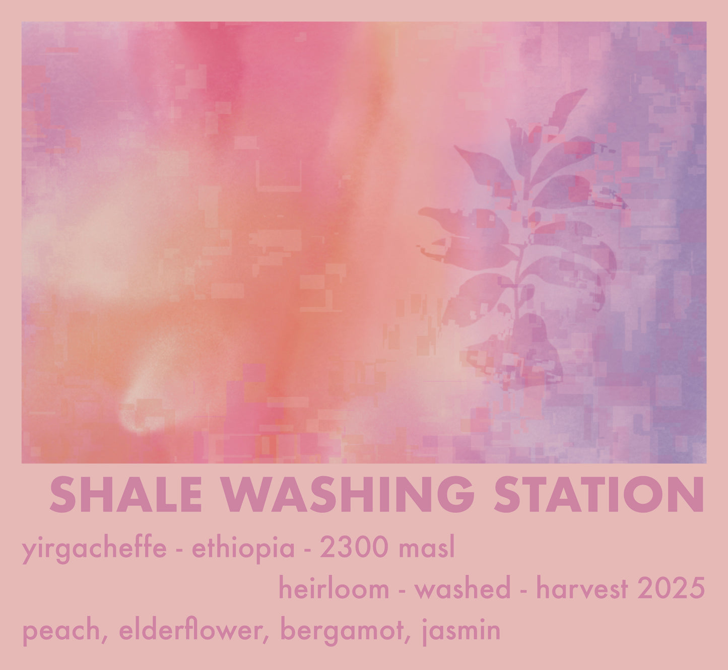 Äthiopien Shale Washing Station