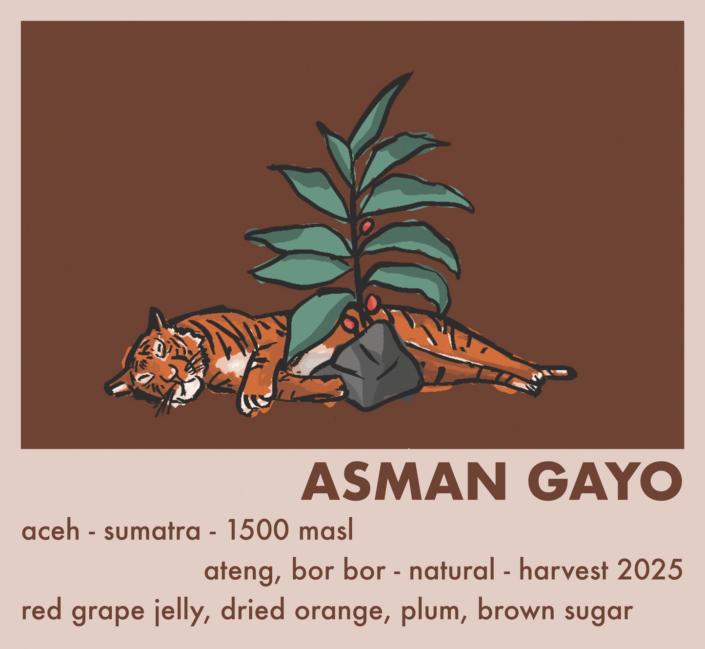 Indonesien Asman Gayo