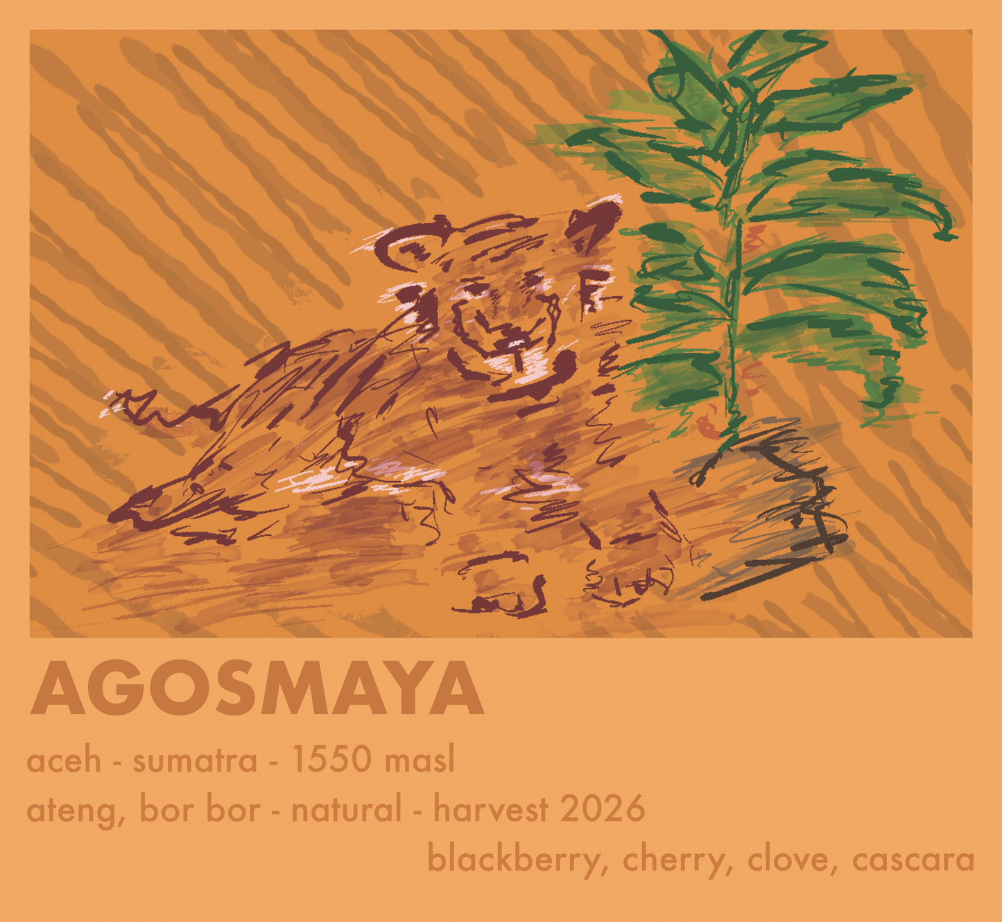 Indonesien Agosmaya
