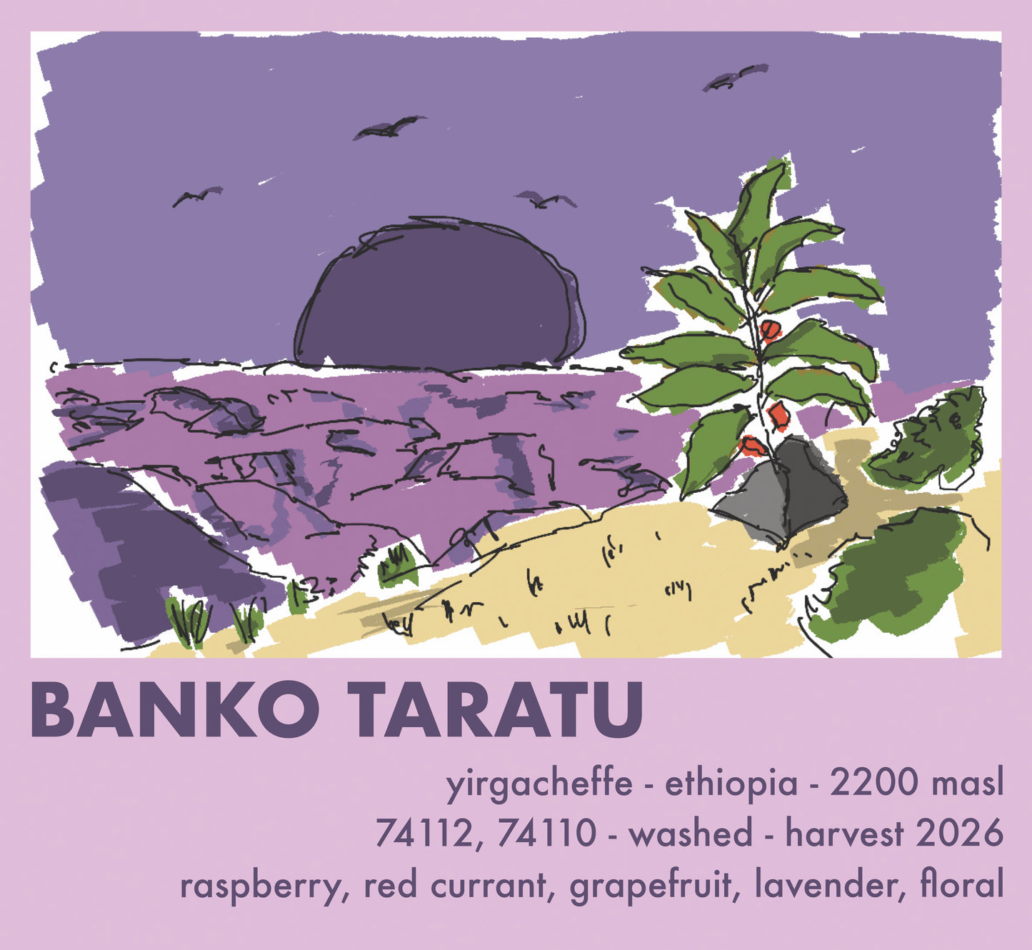 Äthiopien Banko Taratu