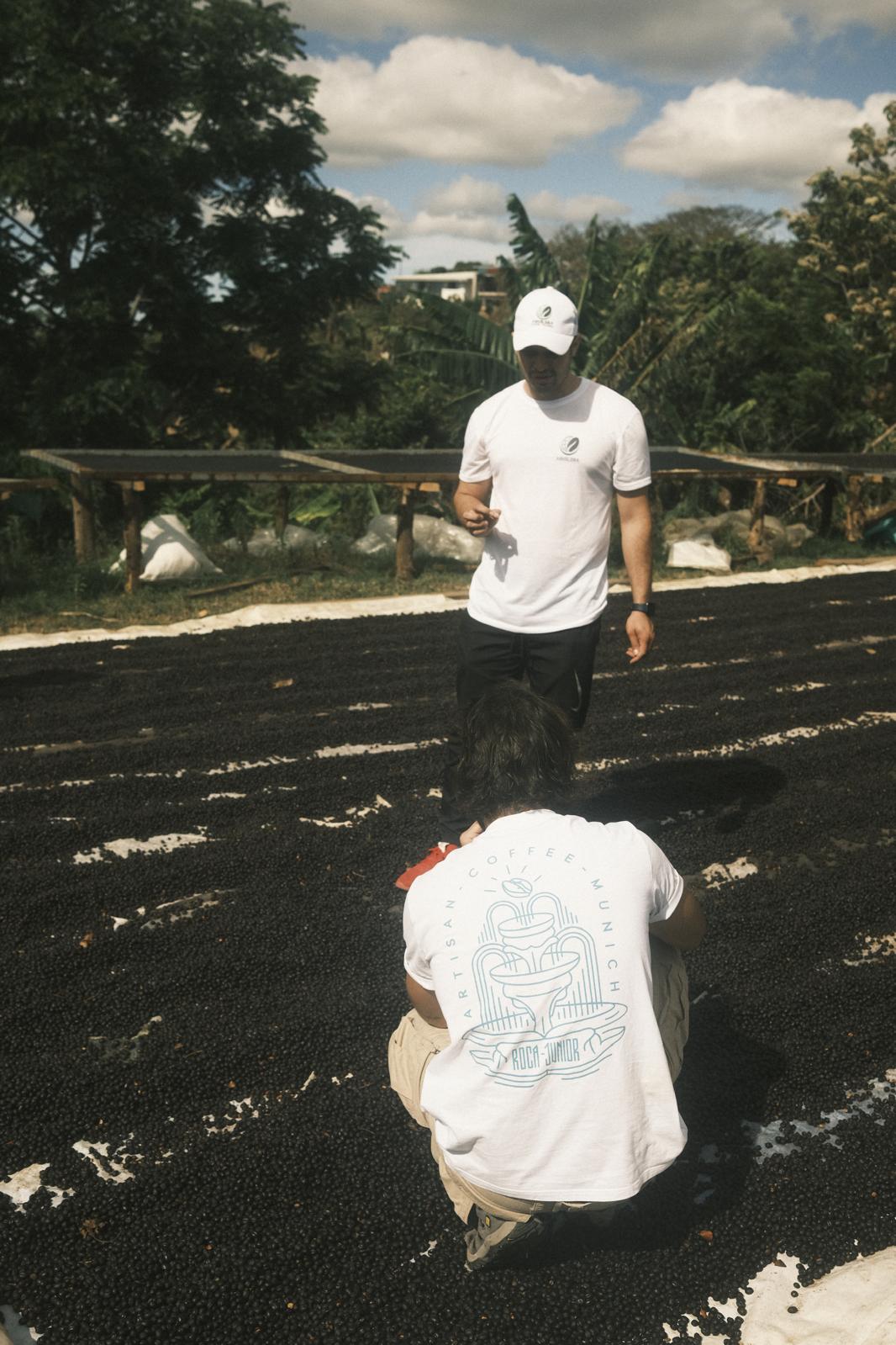 Matilde´s Sarchimor