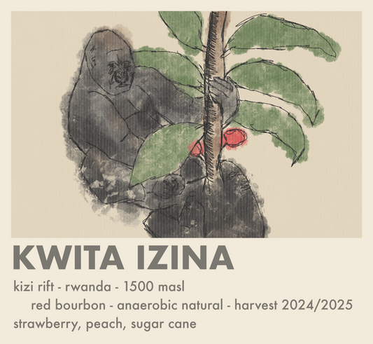 Kwita Izina