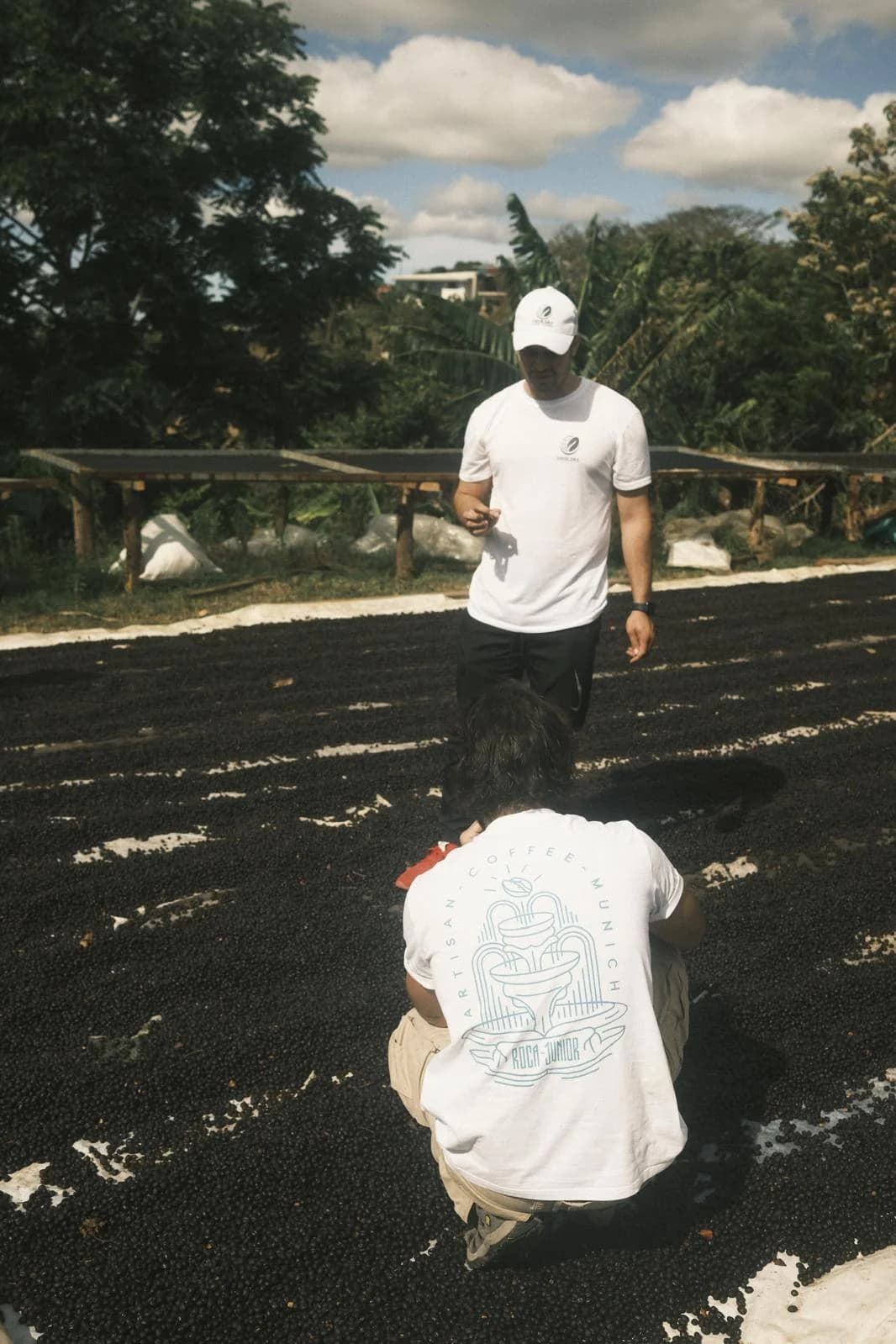 Kaffeekirschen trocknen in der Sonne auf der Farm