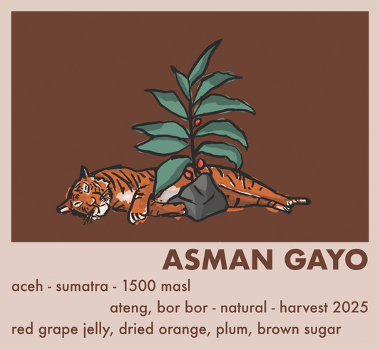 Indonesien Asman Gayo