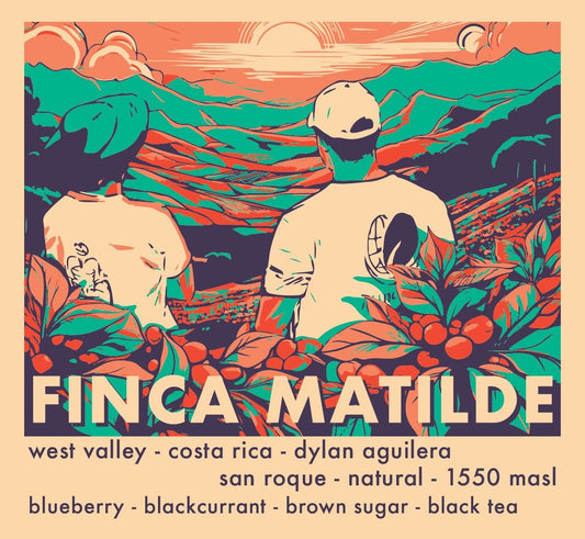 Finca Matilde