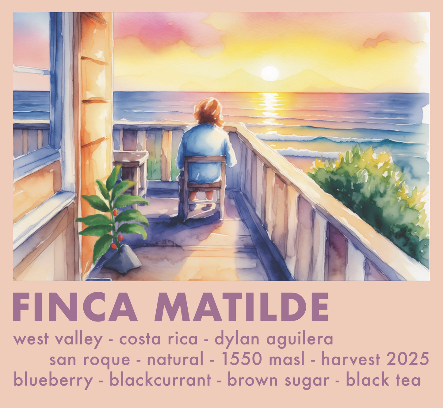 Finca Matilde