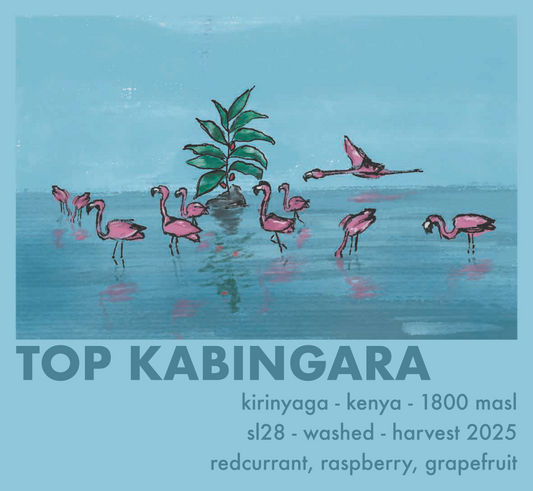 Top Kabingara