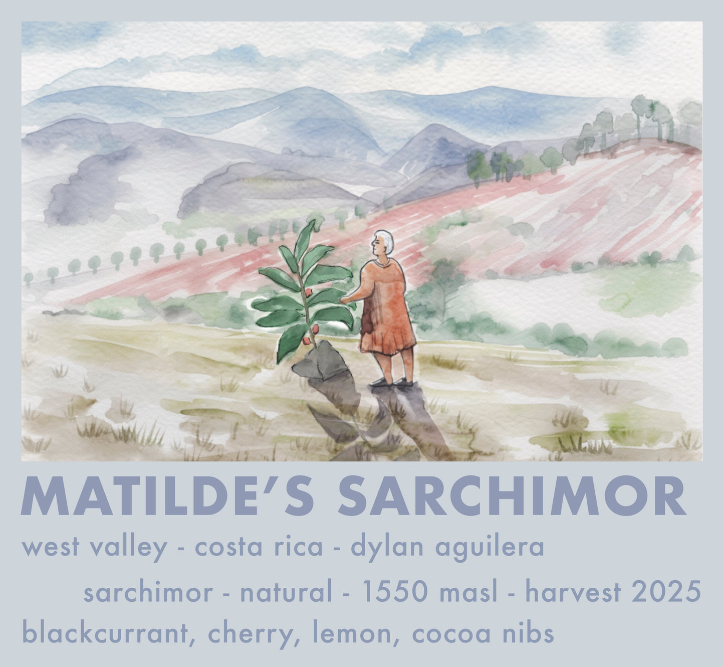 Matilde´s Sarchimor
