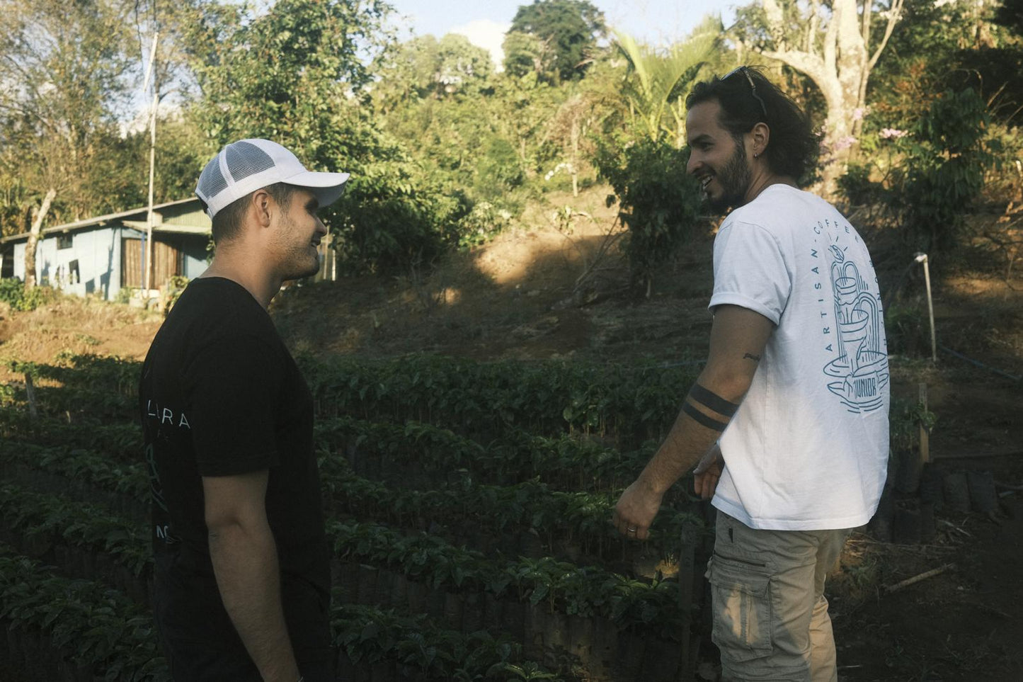 Matilde´s Sarchimor