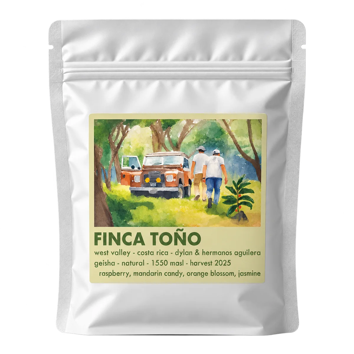 Photo of Geisha Finca Tono